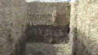 MissoulaMaze 2009.wmv