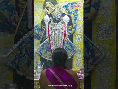 राजाधीराज द्वारीकाधीशजी के संध्या आरती दर्शन🙏🏻#dwarka #sandhyaaarti  #ShridwarikadhishmandirOfficial
