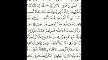سورة يوسف 53-63 (٢٤٢) Sheikh Anas AlHibri
