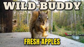 Feeding my Buddy Frank The Squirrel