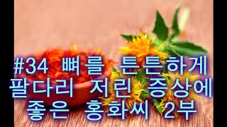 [류마지기 팟캐스트] # 34. 뼈 튼튼하게 하고 팔다리 저릴 때 홍화씨 2부