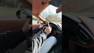 POV V12