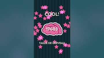 Solution WordBrain - Hibou