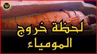 لحظة خروج المومياء من التابوت | قصص رعب حقيقية واقعية حدثت بالفعل | رعب ادهم صقر