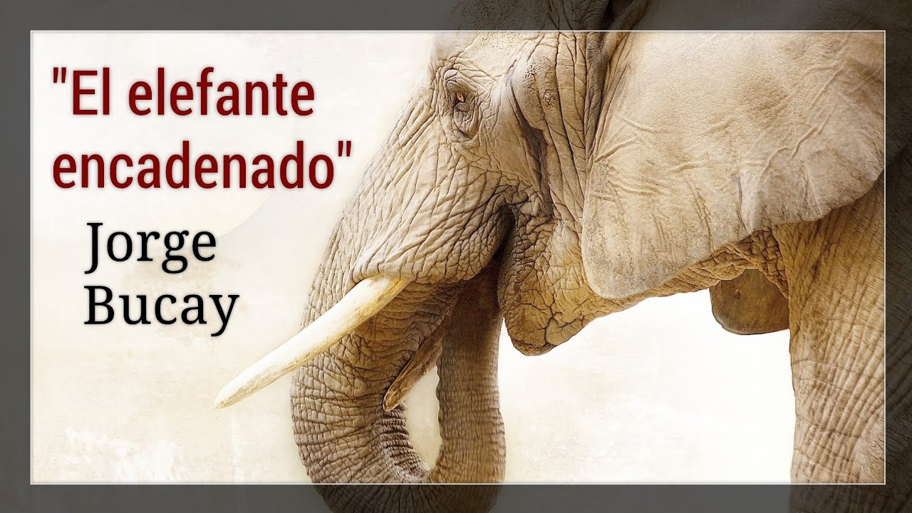 Jorge Bucay - "El elefante encadenado". Cuento de #autoayuda. - YouTube