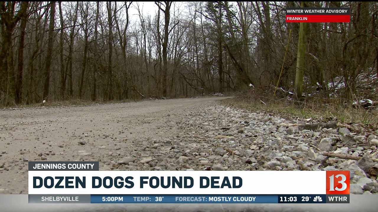 Dozen dogs found dead in Jennings County - YouTube