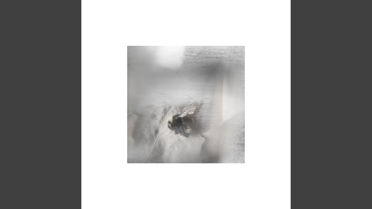 Assista a Post Heart no YouTube