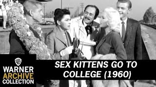 Sex Kittens go to College (Preview Clip)