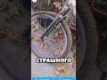 #bmx #mtb #бмх #мтб