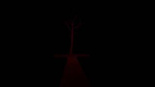 half life 2 tree room glitch/easter egg