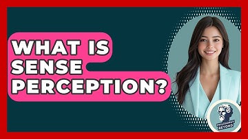 What Is Sense Perception? - Philosophy Beyond