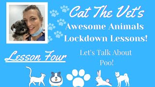 Lockdown Lessons   Let's Talk About Poo!