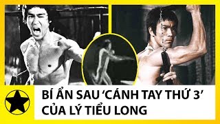 Bí Ẩn Sau 'Cánh Tay Thứ 3' Của Huyền Thoại Võ Thuật Lý Tiểu Long