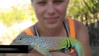 University of Findlay: Biology