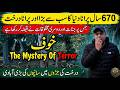 World Most Biggest & Hounted Tree ||Khoof Documentary ||The Mystery Of Terror ||Oldest Tree