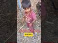 डेटा गोळा करणारा शिक्षक, देशाचं भविष्य घडवतो #trending