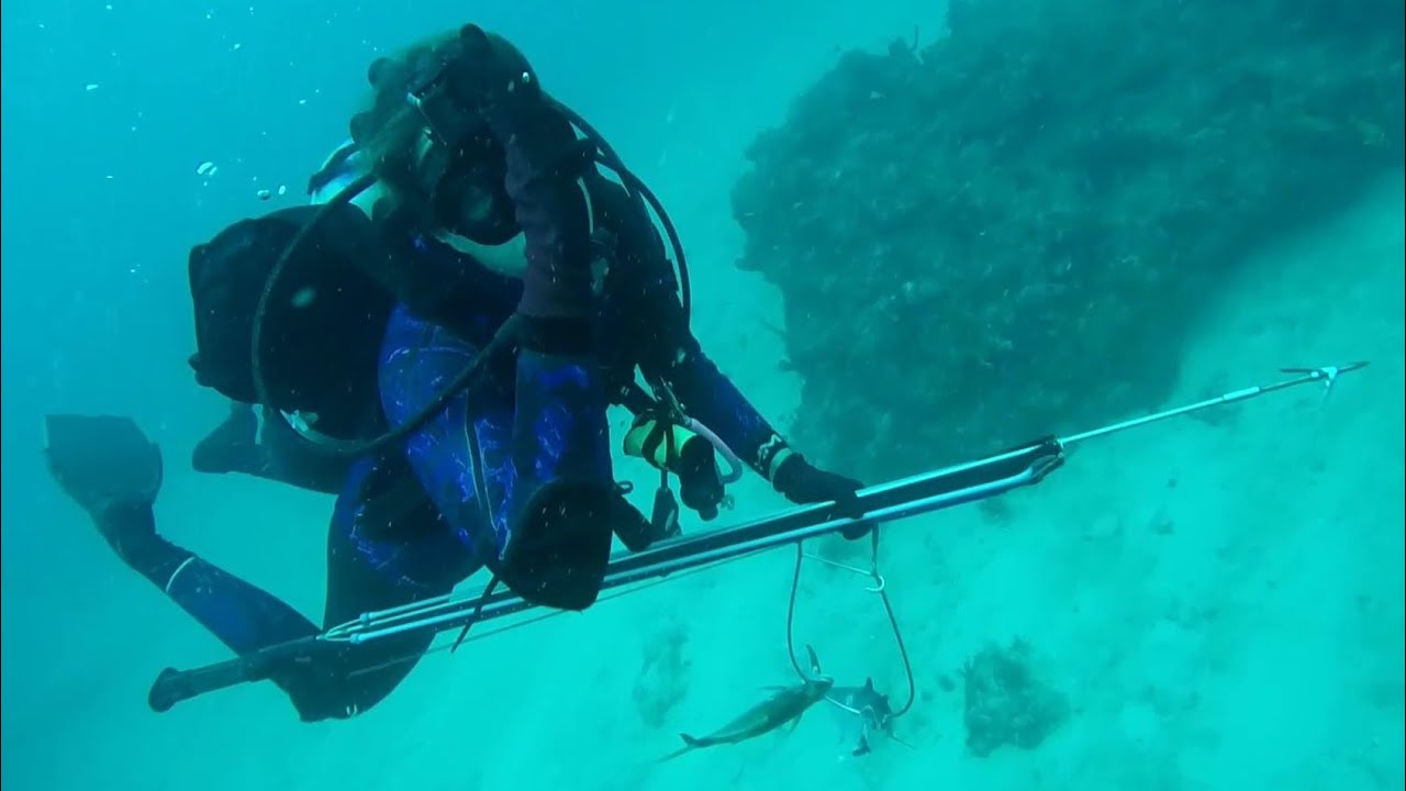 Spearfishing Fort Lauderdale wrecks and reef! YouTube