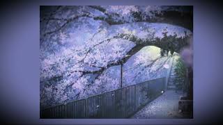 Idealism - Golden | Lofi hip hop music relax/study to