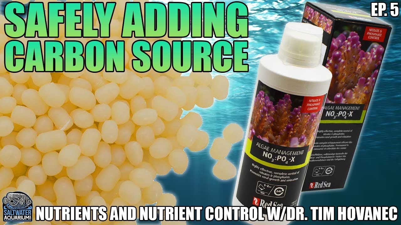 SAFELY Adding A Carbon Source To Your Aquarium – Nutrients and Nutrient Control w/Dr. Tim Hovanec