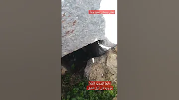 شاهد ما بداخل هذا المدفن الأثري 