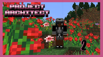 Project Architect Episode 2: Chay the builder!