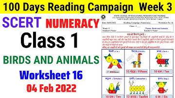 Class 1 Maths NUMERACY Week 3 Worksheet 16 | Class 1 Reading Campaign Week 3 (4/2/22)