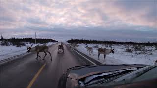 Welcome Committee,,,,St. Anthony Airport.