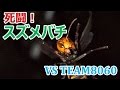 決戦！キイロスズメバチの巣駆除！！Japanese Giant Hornets Nest removal-Japanese BeeHive Hunter