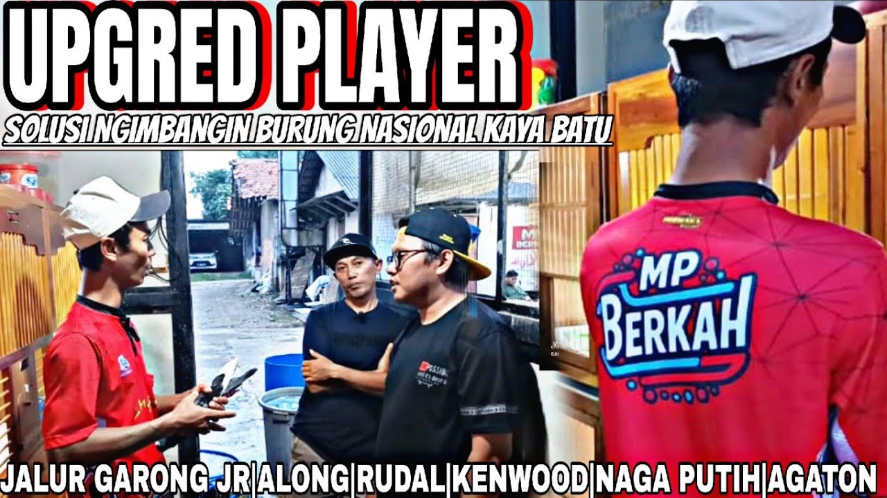 UPGRED PLAYER|TEAM MP BERKAH|SOLUSI NGIMBANGIN BURUNG NASION KAYA BATU|JALUR GARONG JR|RUDAL|KENWOOD