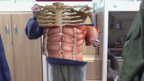 [DLIP 25-1] LAB(COLOR_IMAGE_SEGMENTATION)