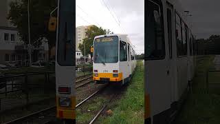 Duewag M8C in Mainz 🇩🇪 #duewag #mainz #tram #strassenbahn