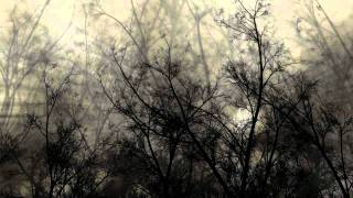 16bit - Classical