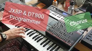 Roland JX-8P with Dtronics DT800 programmer CHORUS Vintage synth 80s vibes Keyboards electric piano