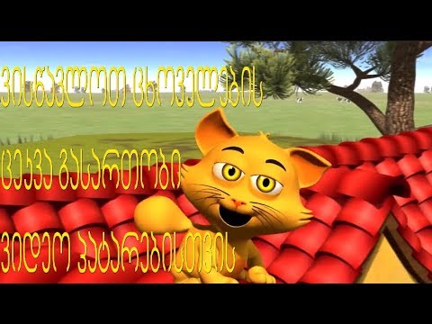 ვისწავლოთ ცხოველები, ცეკვა ვიდეო პატარებისთვის