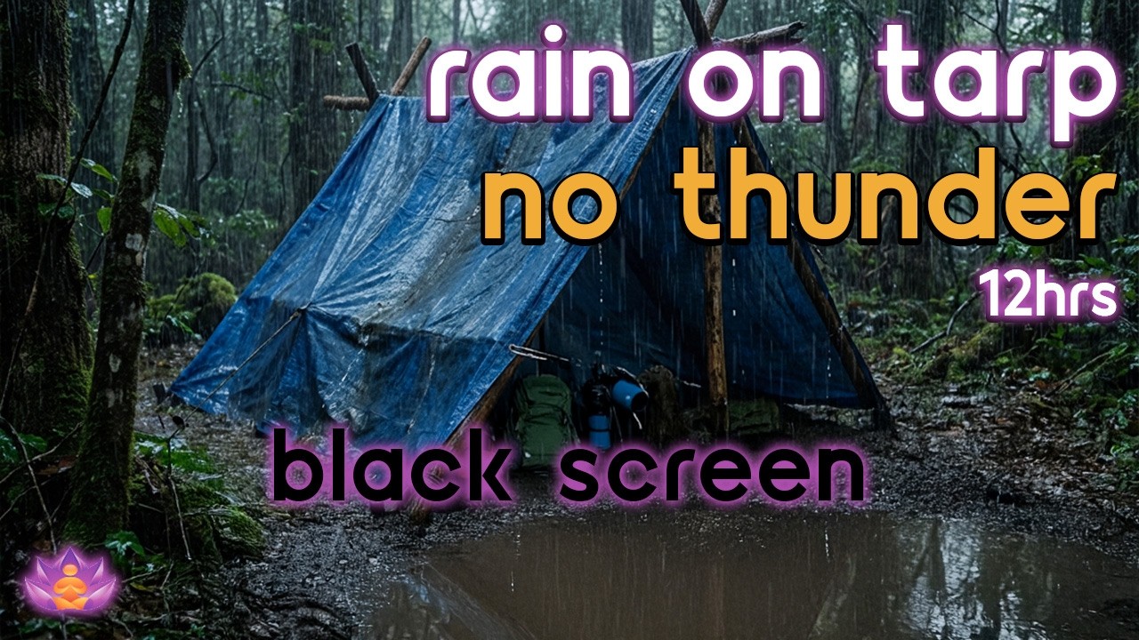 [Black Screen] Camping Under Tarp | Rain on Tarp – No Thunder | Sleep Rain Sounds