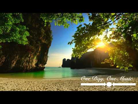 Mandelbarth - Palmtree (Official Sowlmate Remix)