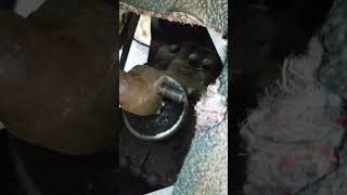 This is why Mechanics HATE Engineers  #thanksford