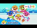 Baby Shark Winter Special LIVE Best Songs Stories Baby Shark Official 