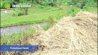 Download lagu SURVEI TANAH WAKAF DKMNI