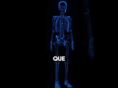 25 Curiosidades sobre