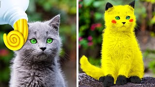 I TURNED MY CAT INTO POKEMON! BEST PET HACKS AND GADGETS