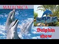 Dolphin show. Marineland Mallorca. Шоу дельфинов