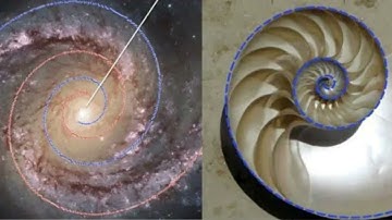 Campul morfogen este real in micro si macrocosmos!