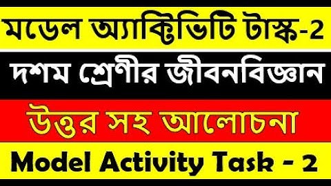 Class 10 Life Science model activity task part 2 || jibonbiggan model activity task