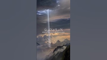سوره مريم // ايه 93-94 القارئ عبد الرحمن مسعد