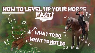 HOW to grind xp for your horse \ Star Stable \ Tutorial