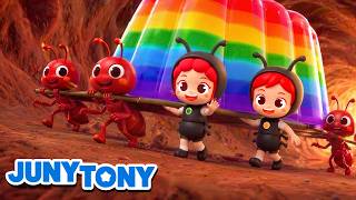 let s find rainbow gummy ant nest ant song kids junytony