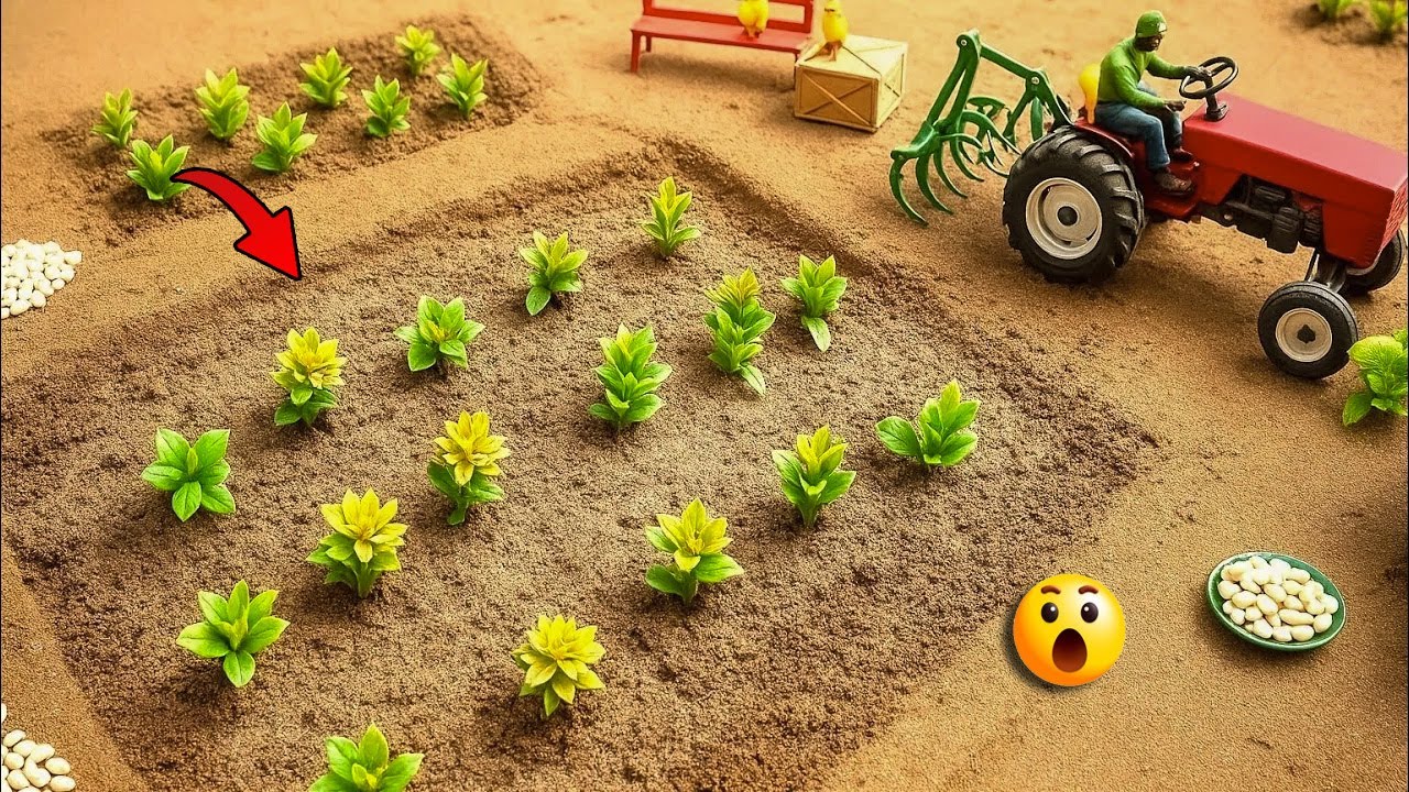 DIY Mini Farm at Home | Easy Organic Farming  🌱