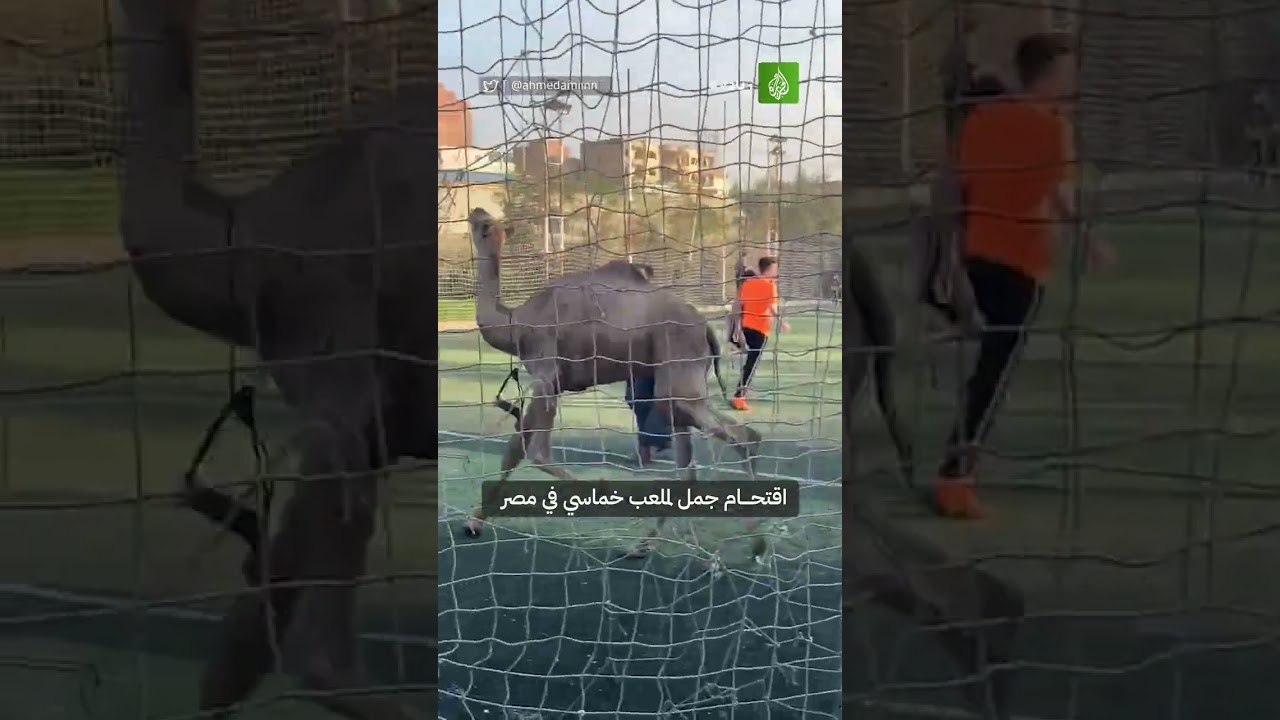 هناك تبديل اضطراري 🔁😅