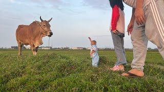 Bibi discovers new things in the countryside!